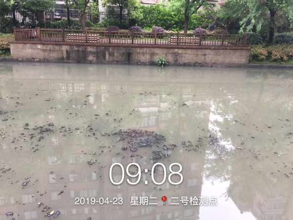 河流黑臭治理